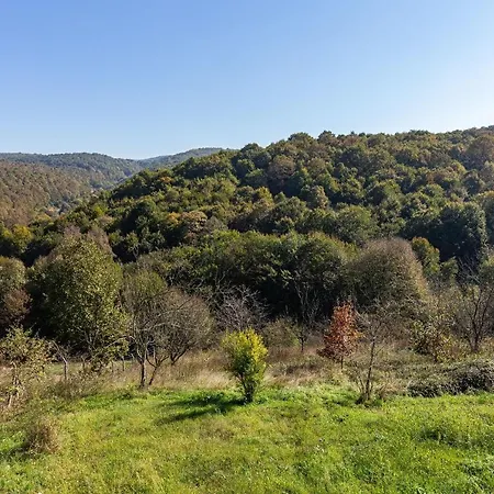 Marvelous Villa With Impressive Garden In Kartepe Villa