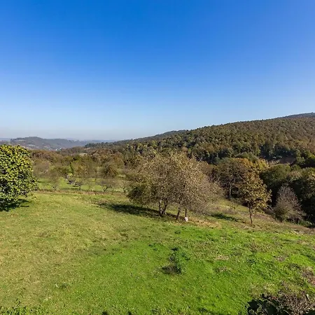Marvelous Villa With Impressive Garden In Kartepe Villa